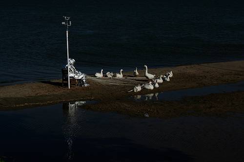 [Ausstellung] 21.01. bis 06.03.2011: Agnes Meyer-Brandis – Beyond