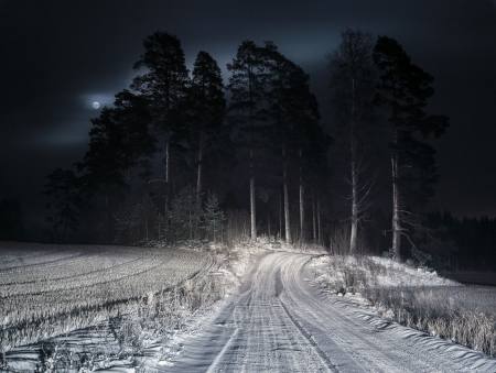 Lichtblicke | Zeitgenössische finnische Fotografie