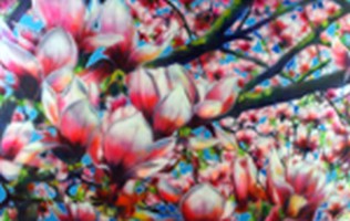 SPRING in den FRÜHLING