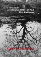 Die schönsten Blätter im Wald 