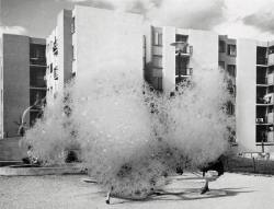 Tapping on Windows, knocking on Walls | Wim Bosch (Groningen) 