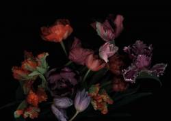It smells like… flowers & fragrances