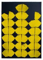 ...Yellow and Blue, That´s For You