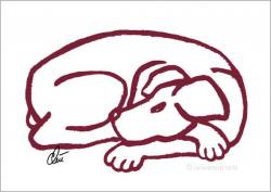 Dog  Red