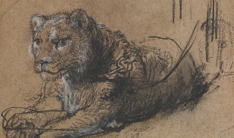 Rembrandt Zeichnung von jungen Löwen erzielt Rekordpreis