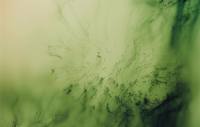 Rekordpreis für Freischwimmer Fotografie von Wolfgang Tillmans
