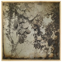 seltene Daguerreotypien bringen Millionen