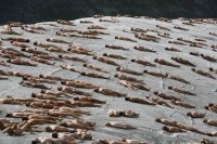 Nackt in München - Spencer Tunick Staatsoper-Projekt