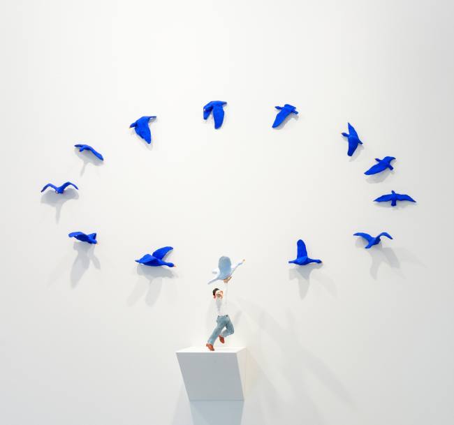 Wie und wo sterben Vögel