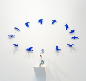 Wie und wo sterben Vögel