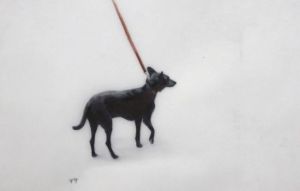 DOG #44