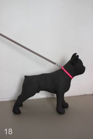 Dog #18